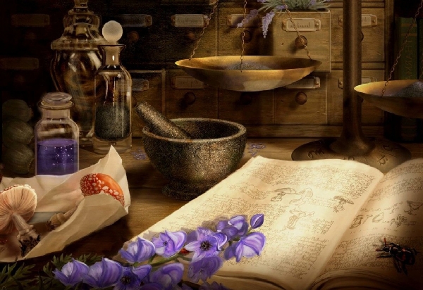 Il ricettario dei guaritori. The cookbook of healers.