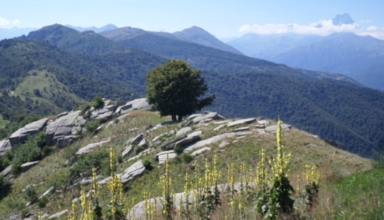 In alto a destra il Monviso.